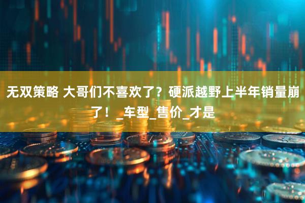 无双策略 大哥们不喜欢了？硬派越野上半年销量崩了！_车型_售价_才是